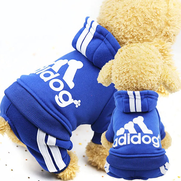 Trendy Tracksuit Pet Clothes - TrendsetterbyTracy Boutique