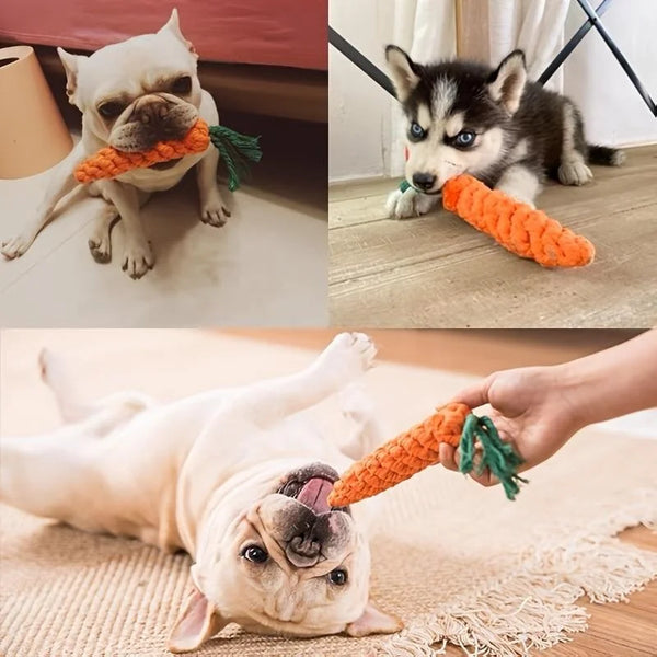 Trendy Carrot Shape Rope Dog Chew