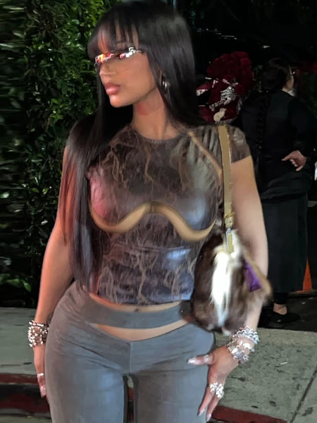 Trendy Mesh Patchwork Crop Top Blouse