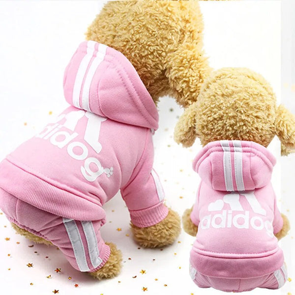 Trendy Tracksuit Pet Clothes - TrendsetterbyTracy Boutique
