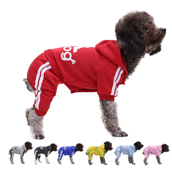 Trendy Tracksuit Pet Clothes - TrendsetterbyTracy Boutique