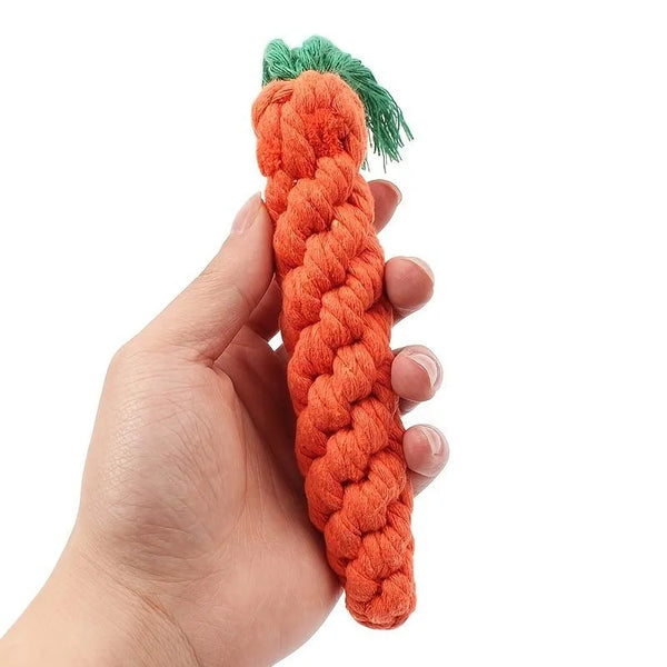 Trendy Carrot Shape Rope Dog Chew