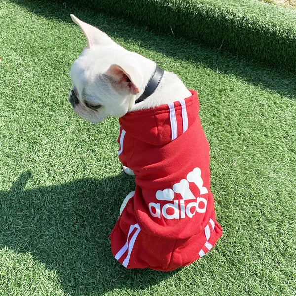 Trendy Tracksuit Pet Clothes - TrendsetterbyTracy Boutique
