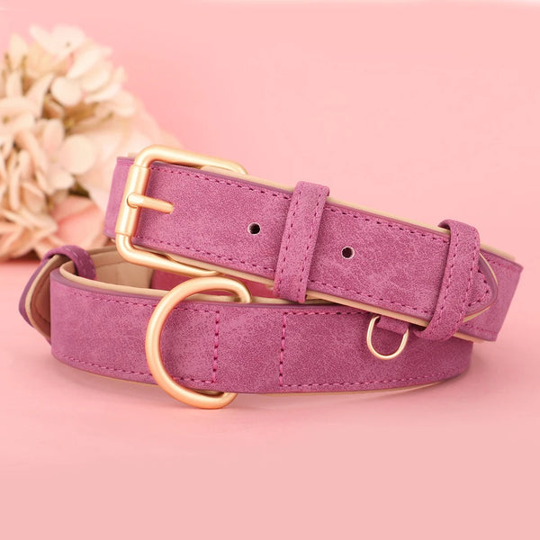 Trendy Adjustable Suede Leather Pet Collar - TrendsetterbyTracy Boutique