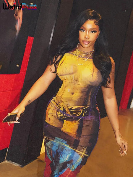 Trendy Mesh Sleeveless Aesthetic Print Party Dress - TrendsetterbyTracy Boutique