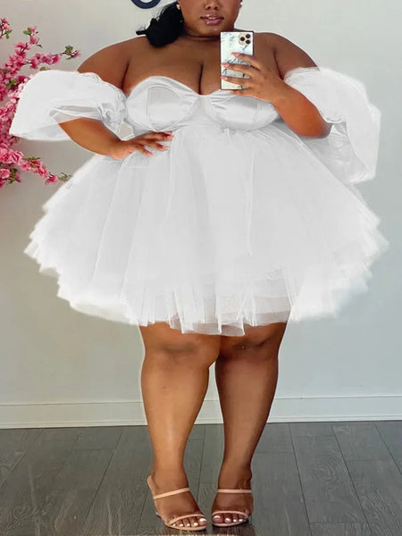 Trendy Plus Size Baby Doll Mesh Hollow Out Party Dress