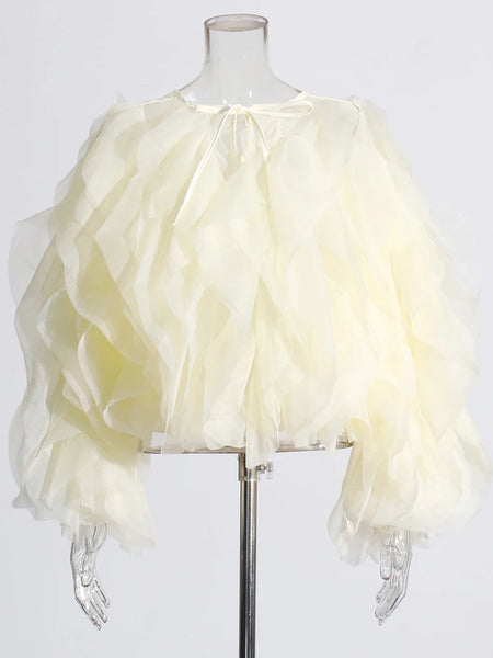 Trendy Lantern Mesh Ruffle Blouse