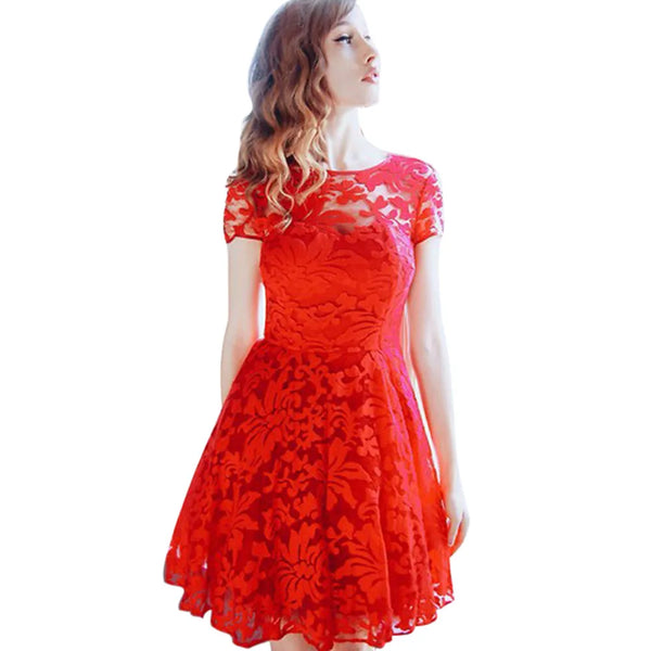 Trendy Lace Mini Short Sleeve Dress