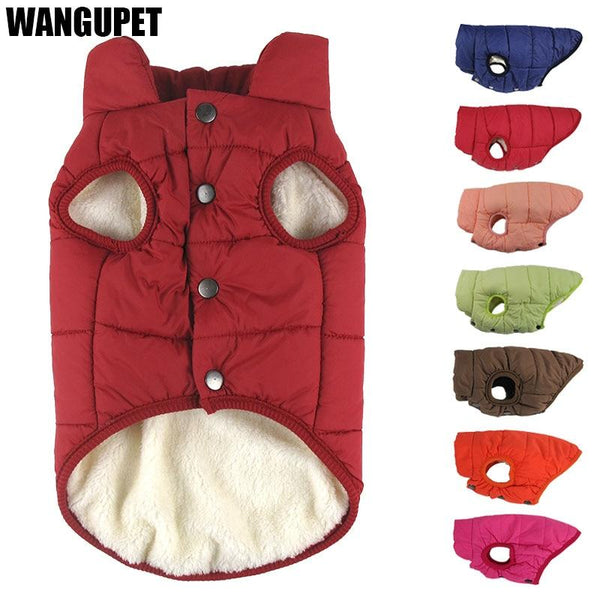 Trendy Winter Dog Fleece Jackets - TrendsetterbyTracy Boutique