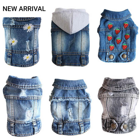 Trendy Denim Dog Clothes. XS-2XL