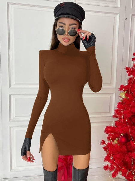 Trendy Long Sleeve Turtleneck Mini Dress - TrendsetterbyTracy Boutique