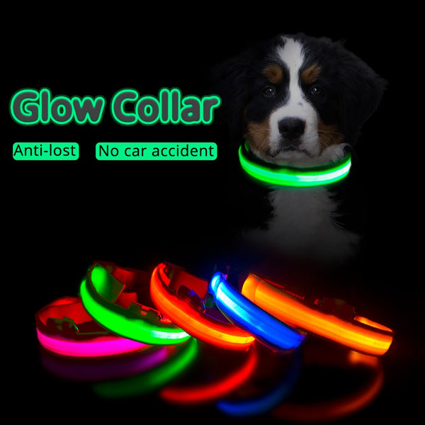 Trendy USB Led Dog Collar - TrendsetterbyTracy Boutique