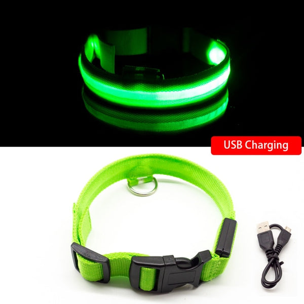 Trendy USB Led Dog Collar - TrendsetterbyTracy Boutique