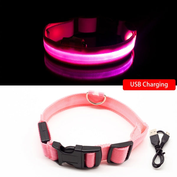 Trendy USB Led Dog Collar - TrendsetterbyTracy Boutique