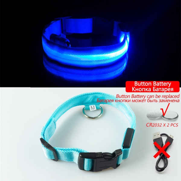 Trendy USB Led Dog Collar - TrendsetterbyTracy Boutique