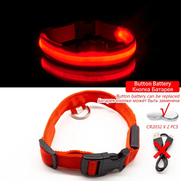 Trendy USB Led Dog Collar - TrendsetterbyTracy Boutique
