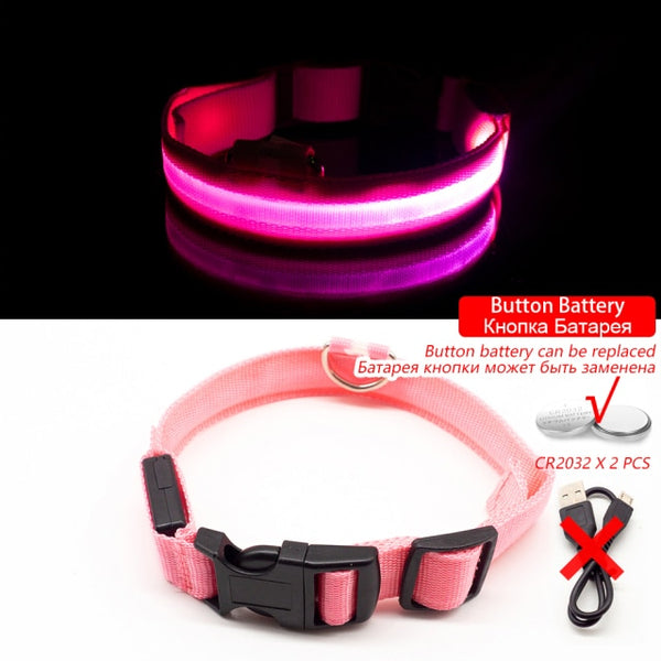 Trendy USB Led Dog Collar - TrendsetterbyTracy Boutique